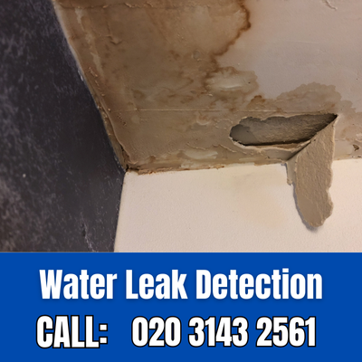 Expert Water Leak Detection Services in Hanworth | Hanworth Leak Detection